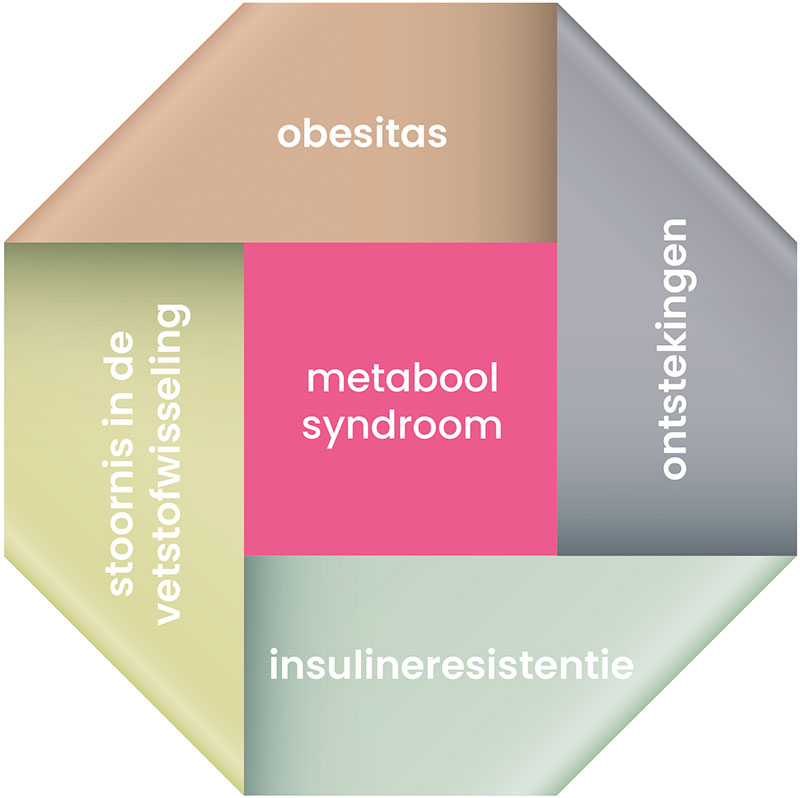 metabolic syndrom